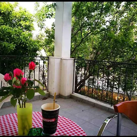 Mary's Place Agria